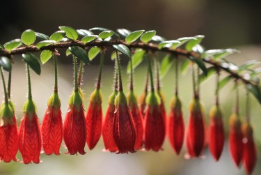 宁波海曙区8零用贷短借：轻松解决临时资金需求