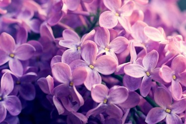 宁波海曙区8企业急用钱贷款攻略：快速融资解燃眉之急